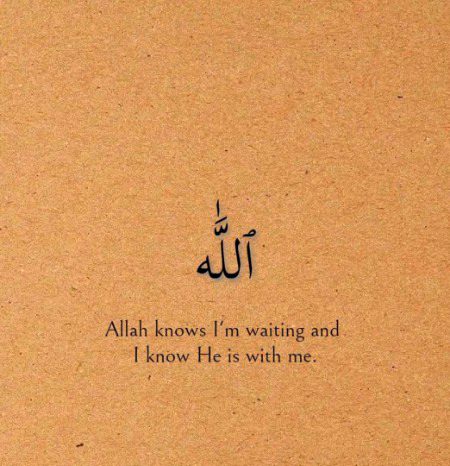 Islamic Quotes image