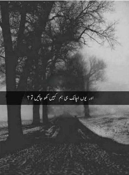 🍁Zoq_Shab🍁