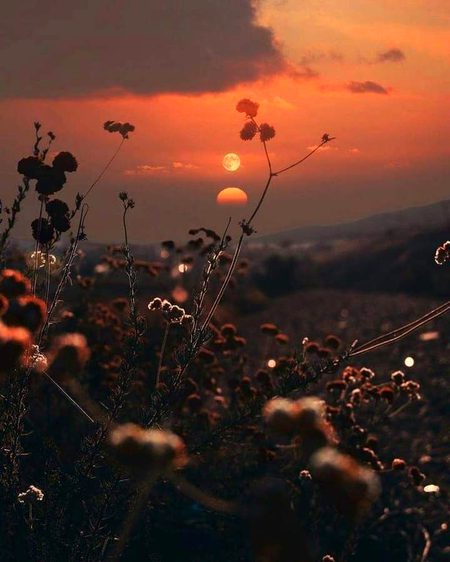 Beautiful Nature image