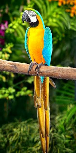 Beautiful Nature image