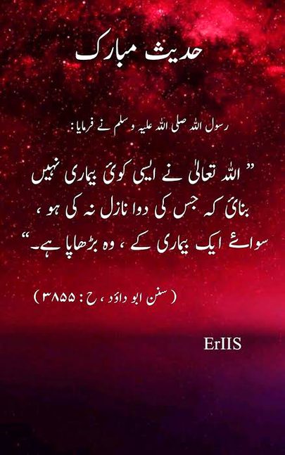 🍁Zoq_Shab🍁