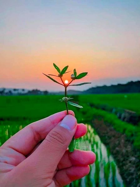 خاموشیوں کی بھی اپنی ایک دنیا ہوتی ہے،
جہاں لفظوں کی ضرورت نہیں پڑتی۔
کچھ احساس ایسے ہوتے ہیں
جو کہے نہیں جاتے،
بس محسوس کیے جاتے ہیں۔ ✨