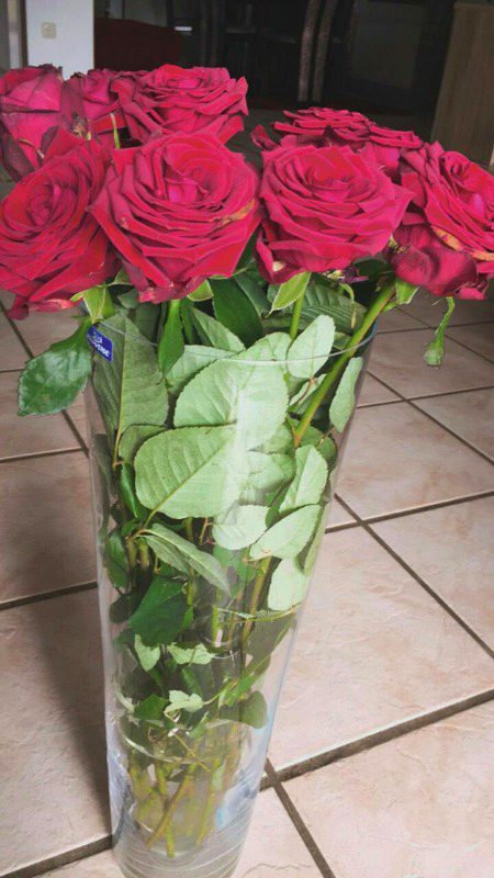 Beautiful Nature image