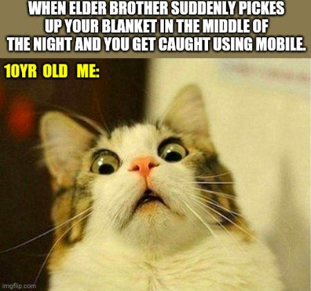 Memes & Satire image