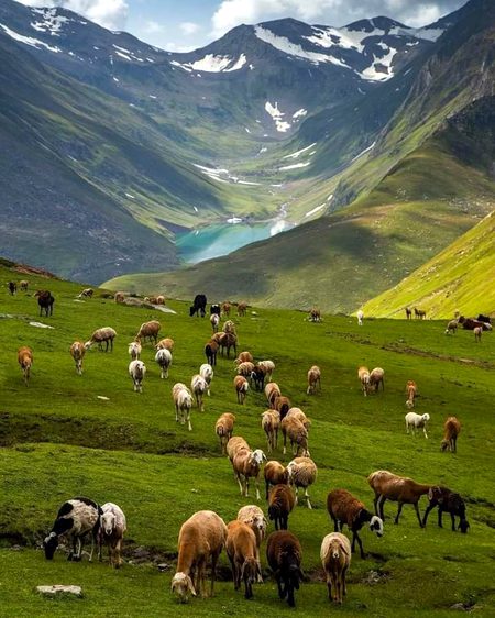 Beautiful Nature image