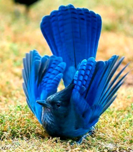 Beautiful Nature image