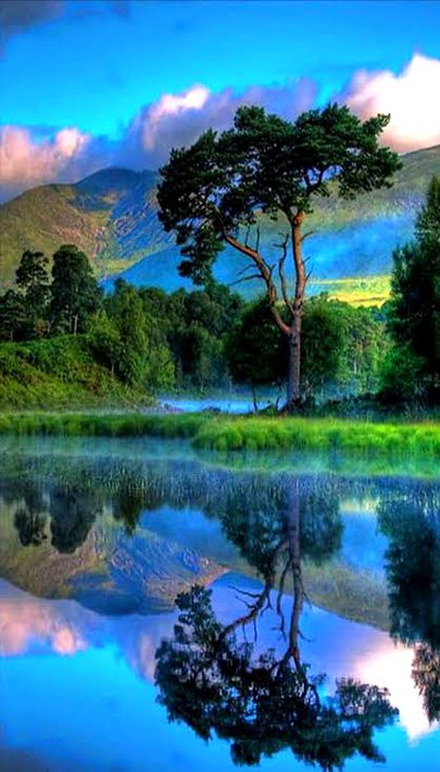 Beautiful Nature image