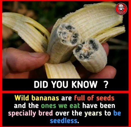Interesting Posts image