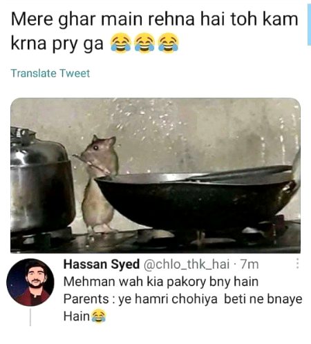 Memes & Satire image