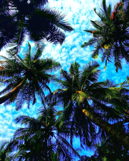 Beautiful Nature image
