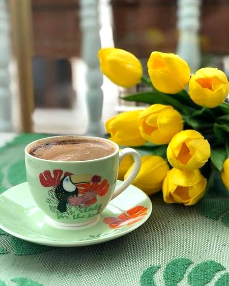 پُرتکلف سی  مہکتی  وہ سُہانی چائے
اب کہاں ھم کو میّسر ھے تمہاری چائے
میں نے چینی کی بھی مقدار بڑھا کر دیکھا
بن ترے لگتی ھے کچھ کڑوی کسیلی چائے
میں تری یاد میں کھو جاتا ھوں بیٹھے بیٹھے
منہ مرا تکتی ھی رہ جائے  بیچاری چائے
وہ مُجھے بُھول گئی، میں نہیں بُھولا اُسکو
ساتھ رھتی ھے شب و روز خیالی چائے
تیرے وعدوں سے بھرےخط بھی دکھانے ھیں تجھے
آج کی شام کو چائے ھے ضروری چائے !
ایک دن سو کے اُٹھوں میں، توُ مرے سامنے ھو
کاش ہاتھوں میں لئے ایک پیالی چائے
تھام کے ہاتھ کو، لاتی ھے مُجھے پاس ترے
بھاپ اُڑاتی ھوئی ٹیبل پہ دِوانی چائے
لمس ہاتھوں کا تر نا ھی محبّت کا سُرور
راس آئی نہ کبھی مجھ کو پرائی چائے
ڈال کے کپ میں تقاضائے محبت کا اُبال
یاد آتی ھے مُجھے تیری سوالی چائے, ☕🥀