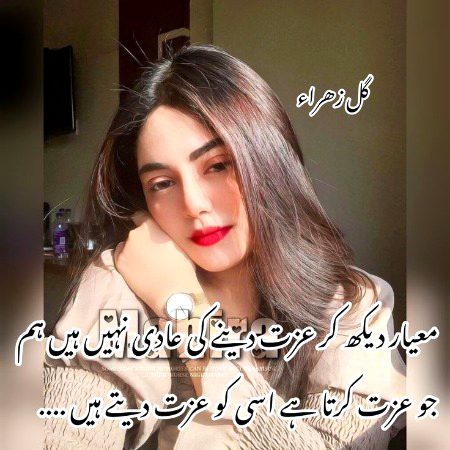 Attitude Quotes image