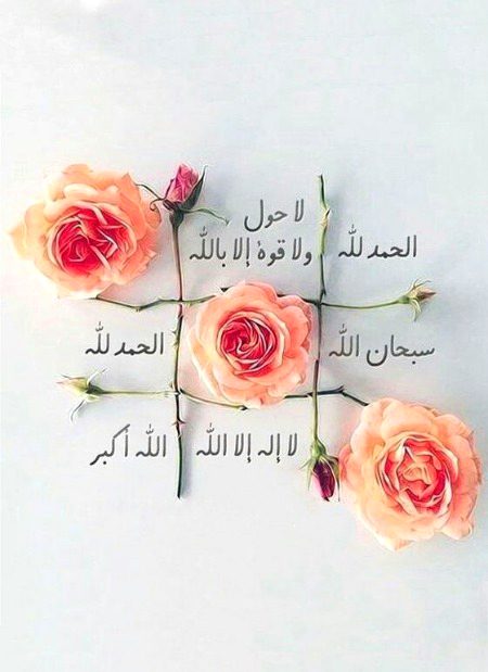 Islamic Quotes image