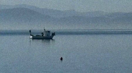 ہم اُس قوم میں پھنس چکے ہیں جس میں ہر فرد یہ سمجھتا ہے کہ خدا نے اسکے علاوہ کسی کو ہدایت نہیں دی
🖤