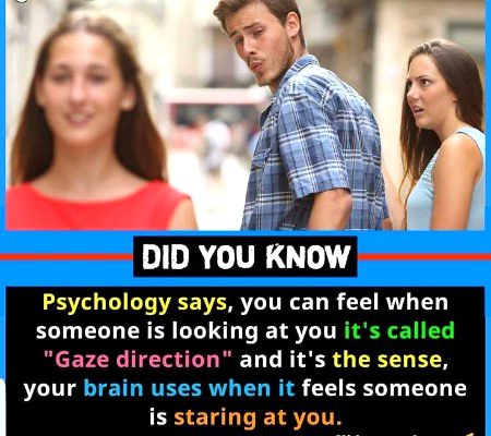 Interesting Posts image