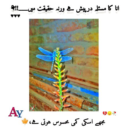 Sad Poetry image