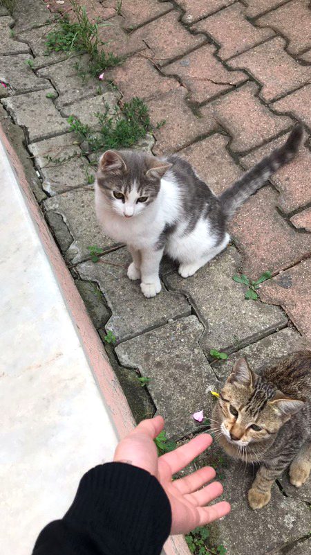 Beautiful Nature image