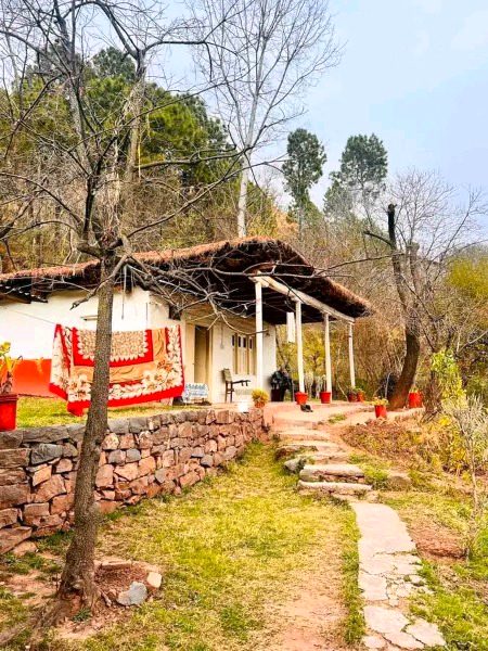 Beautiful Structures image