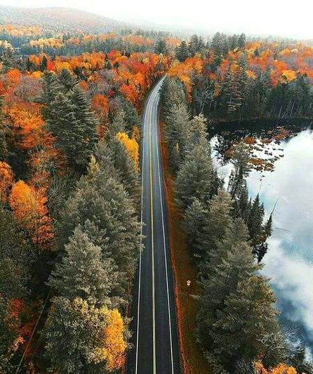 Beautiful Nature image