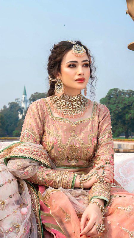 Pakistani Celebs image