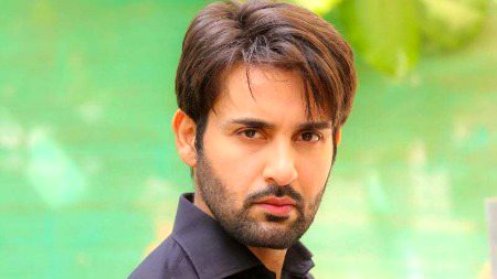 Pakistani Celebs image