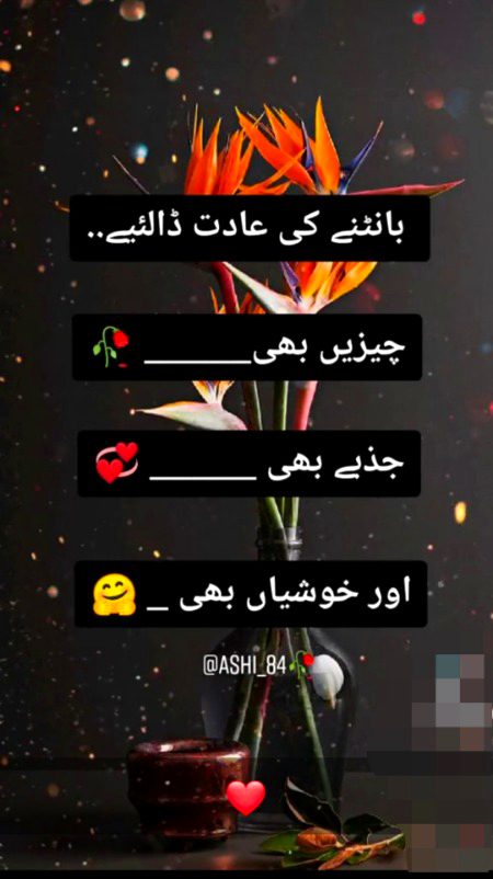 ....🥰🥰🥰....