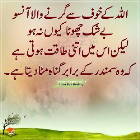 Islamic Quotes image