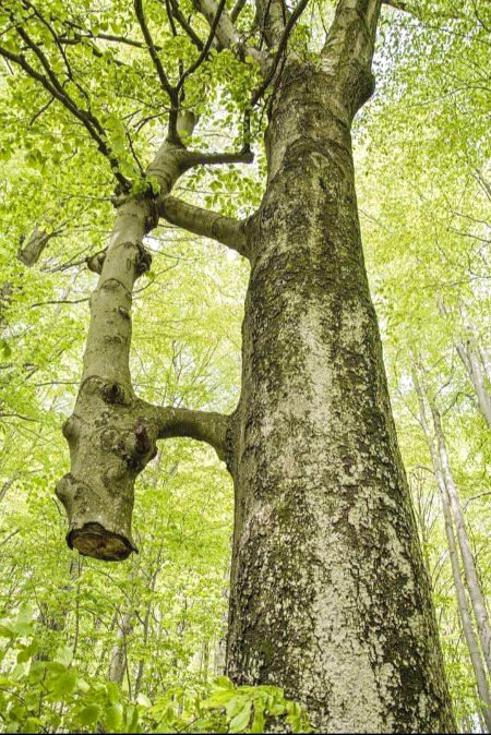 Beautiful Nature image