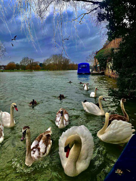 Beautiful Nature image