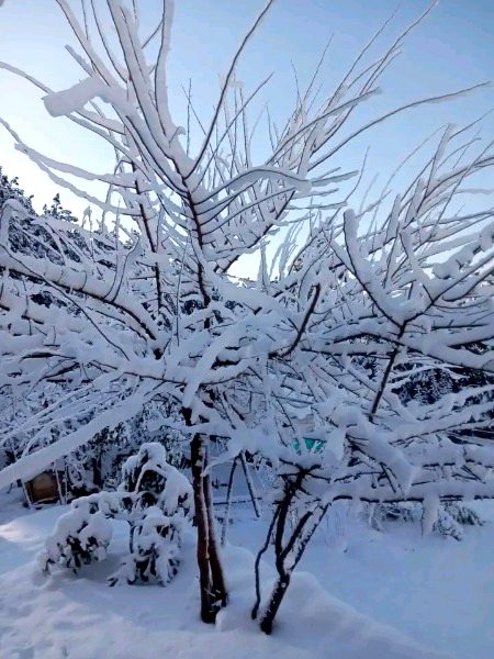 Beautiful Nature image