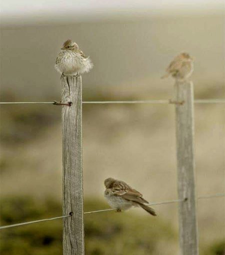Beautiful Nature image