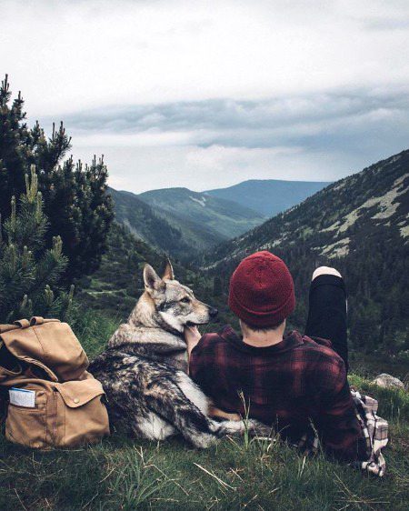 Beautiful Nature image