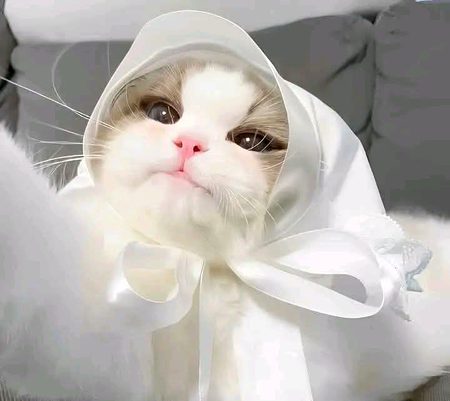 "اچھی باتیں میں اس لیے بھی نہیں کرتی
 پھر لوگ کہتے ہیں کہ آئی وڈی حاجن🤧"