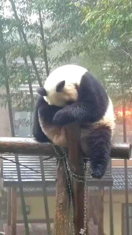 Beautiful Nature image