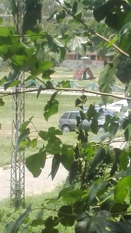 Beautiful Nature image