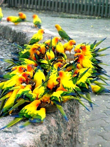 Beautiful Nature image