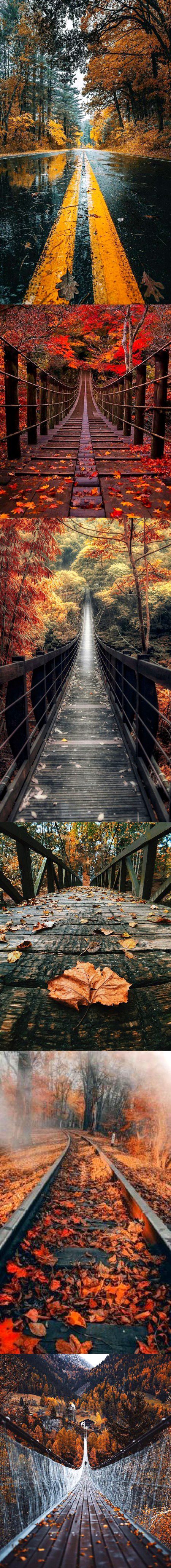 Beautiful Nature image