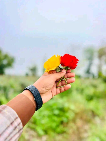 Beautiful Nature image