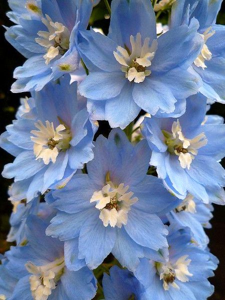 Beautiful Nature image