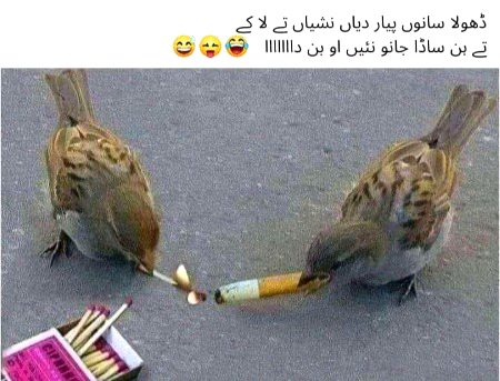 Memes & Satire image