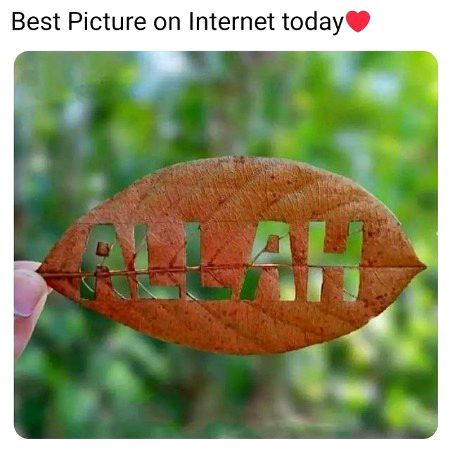 Islamic Quotes image