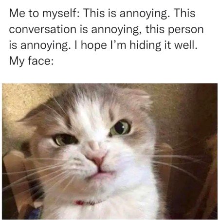 Memes & Satire image