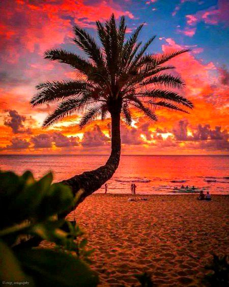 Beautiful Nature image
