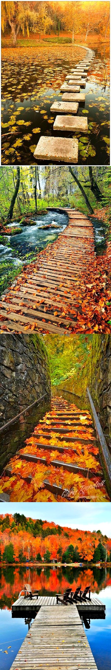 Beautiful Nature image