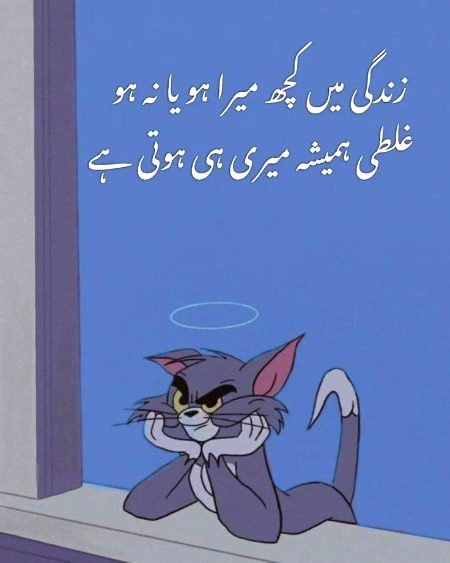 Memes & Satire image