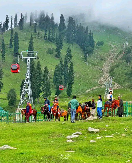 Beautiful Nature image