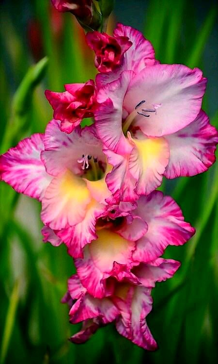 Beautiful Nature image