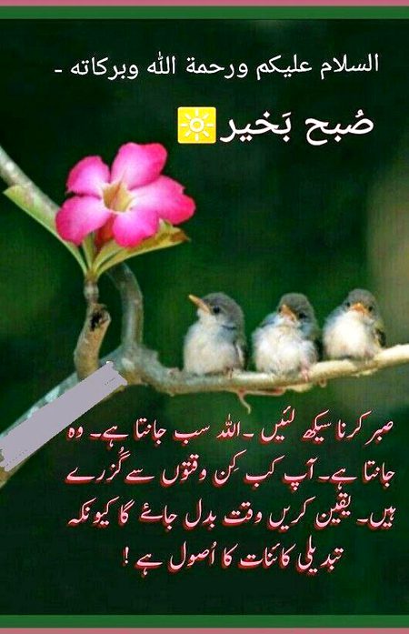 اسلام علیکم صبح بخیر 🌸🌞🥰