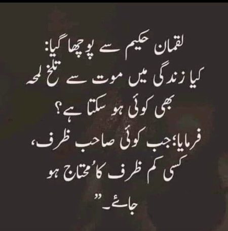 💯 % ☑️☑️☑️