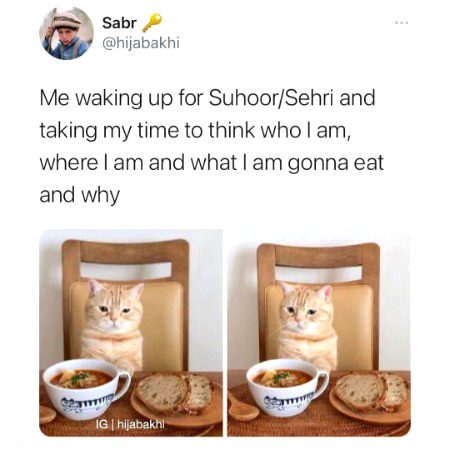 Memes & Satire image